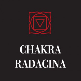 Totul despre Chakra Radacina