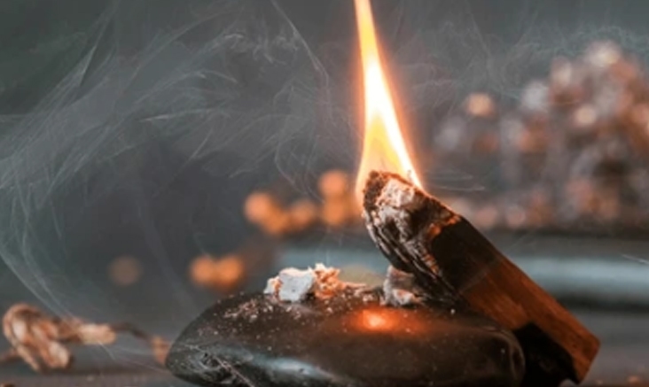 palo santo beneficii